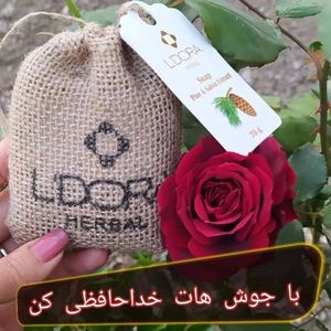 فروش اینترنتی صابون گیاهی حاوی عصاره کاج و گیاه مریم گلی لدورا