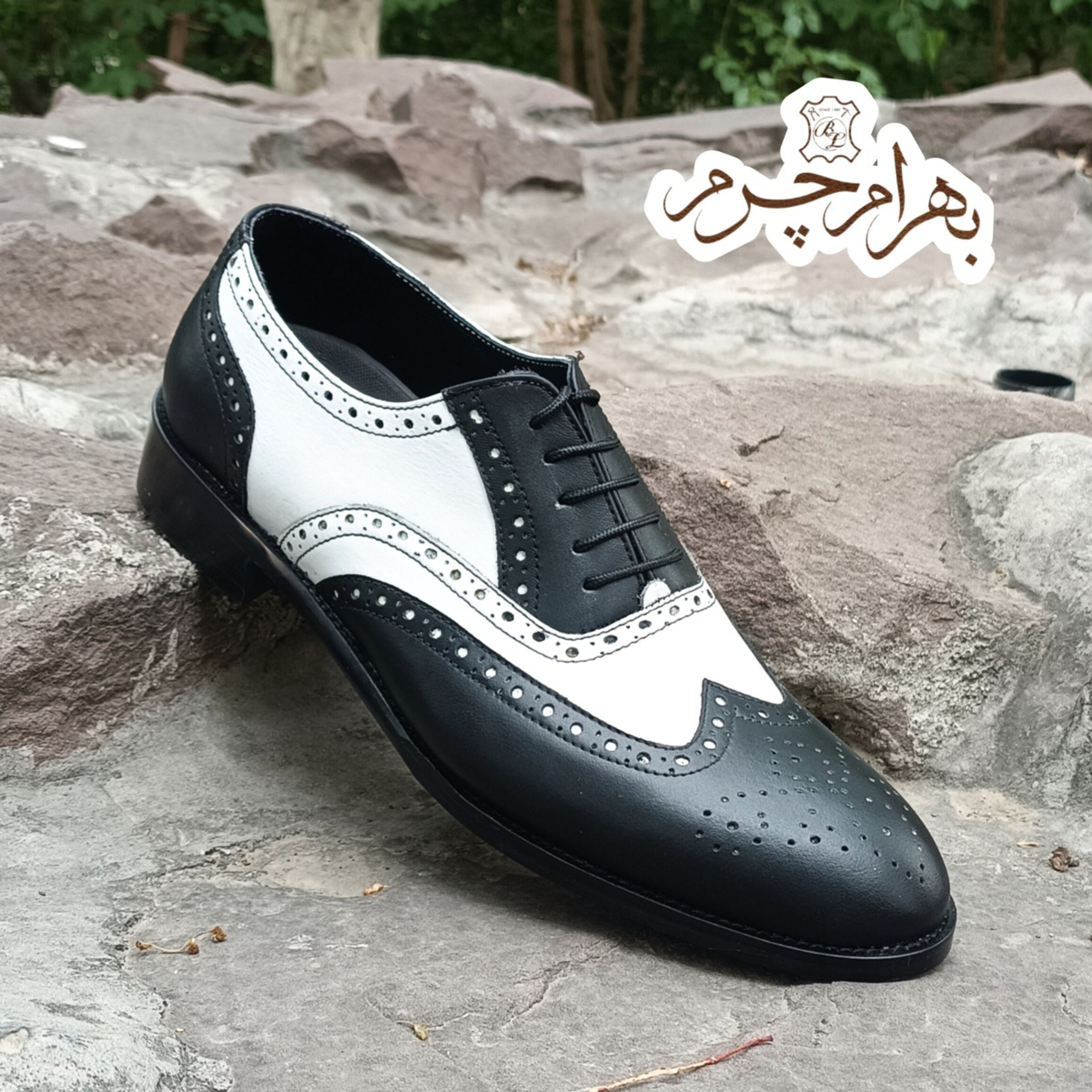 خرید آنلاین کفش مردانه مجلسی چرم طبیعی مدل نیلسون دورنگ