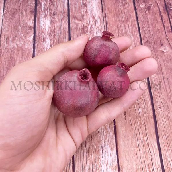 انار خشک تزیینی بسته 12 عددی