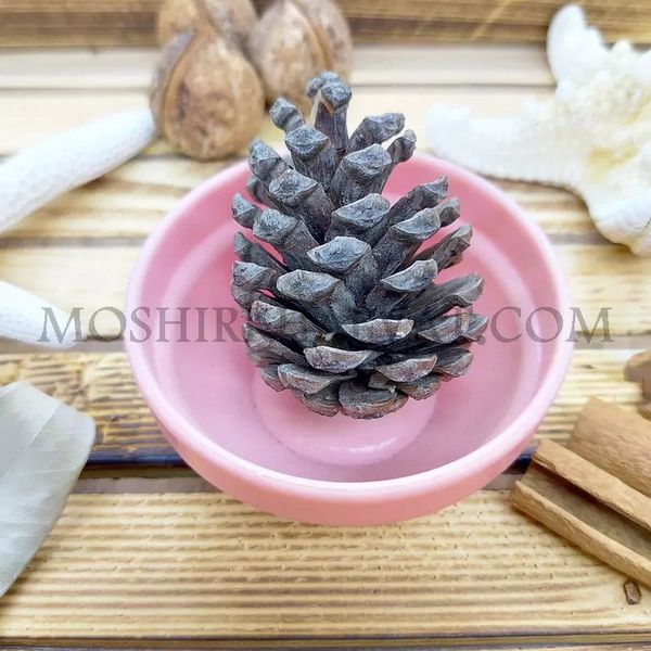 میوه کاج تزیینی بسته 10 عددی