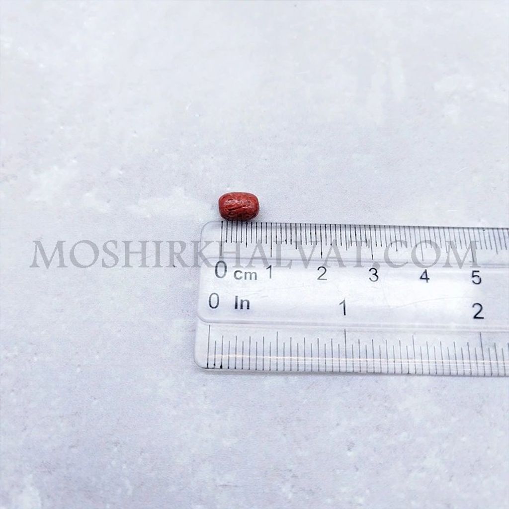 خرید آنلاین مهره چوبی رنگی مدل گندمی بسته 100 عددی