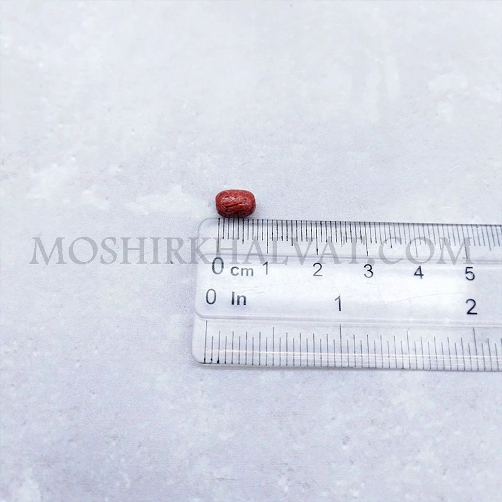 فروش اینترنتی مهره پلاستیکی گندمی بسته 100 عددی