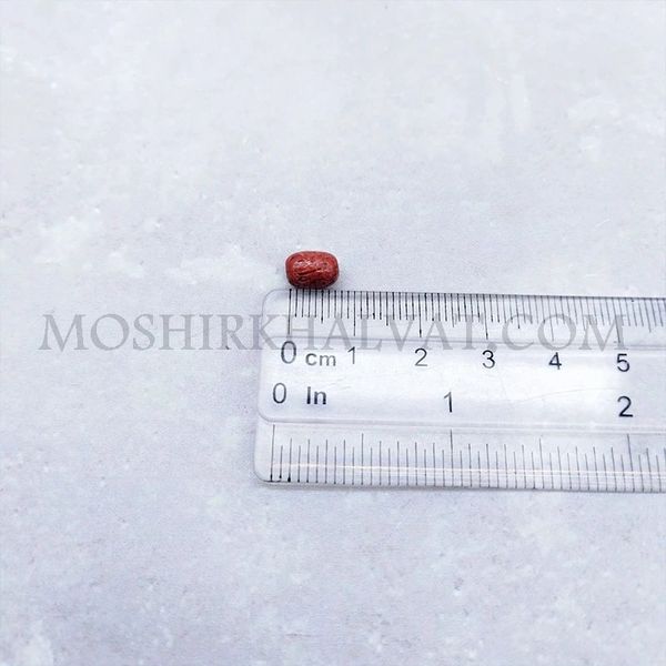 مهره پلاستیکی گندمی بسته 100 عددی