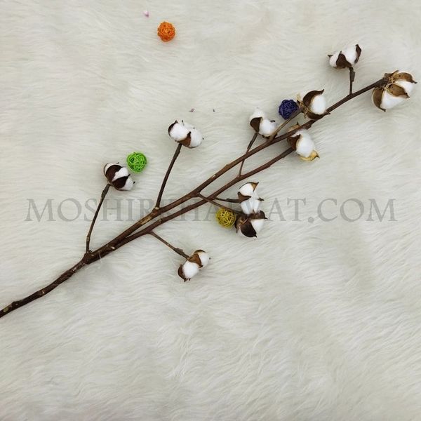 گل خشک مدل شاخه پنبه 10 گل