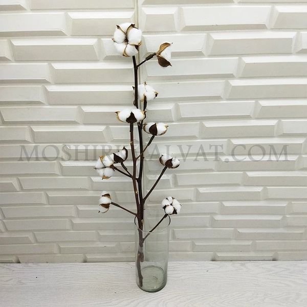 گل خشک مدل شاخه پنبه 10 گل