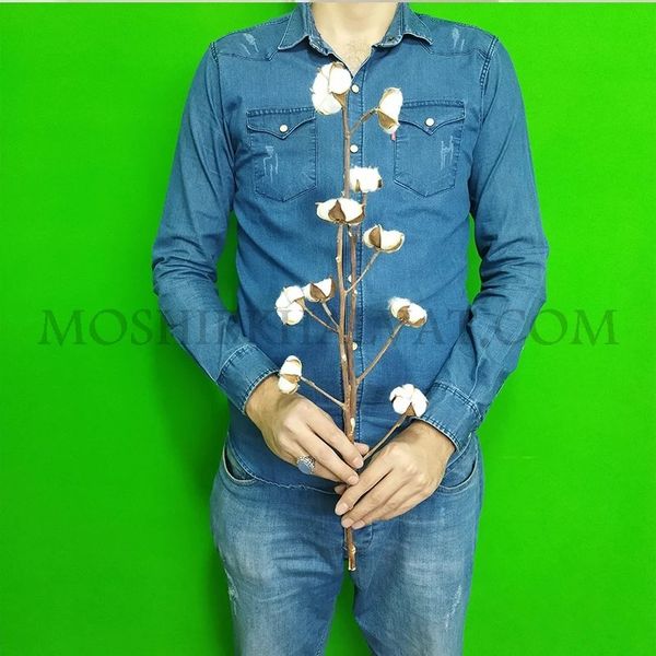 گل خشک مدل شاخه پنبه 10 گل