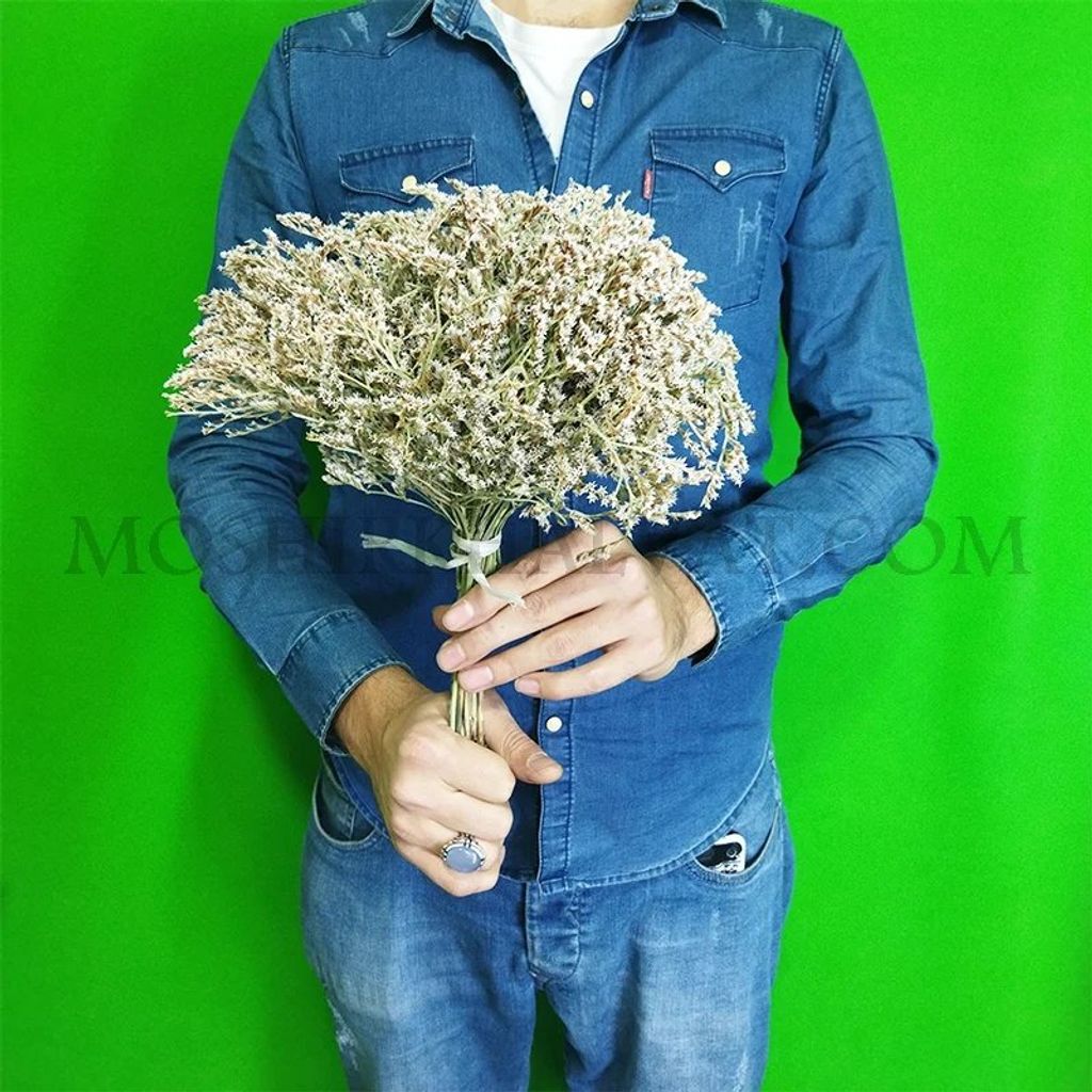 خرید آنلاین گل خشک مدل لوندر