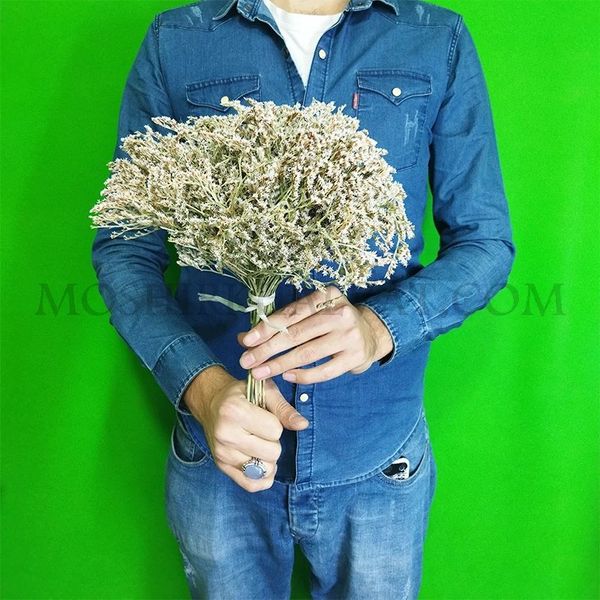 گل خشک مدل لوندر