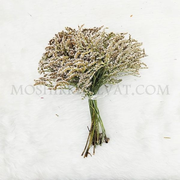 گل خشک مدل لوندر