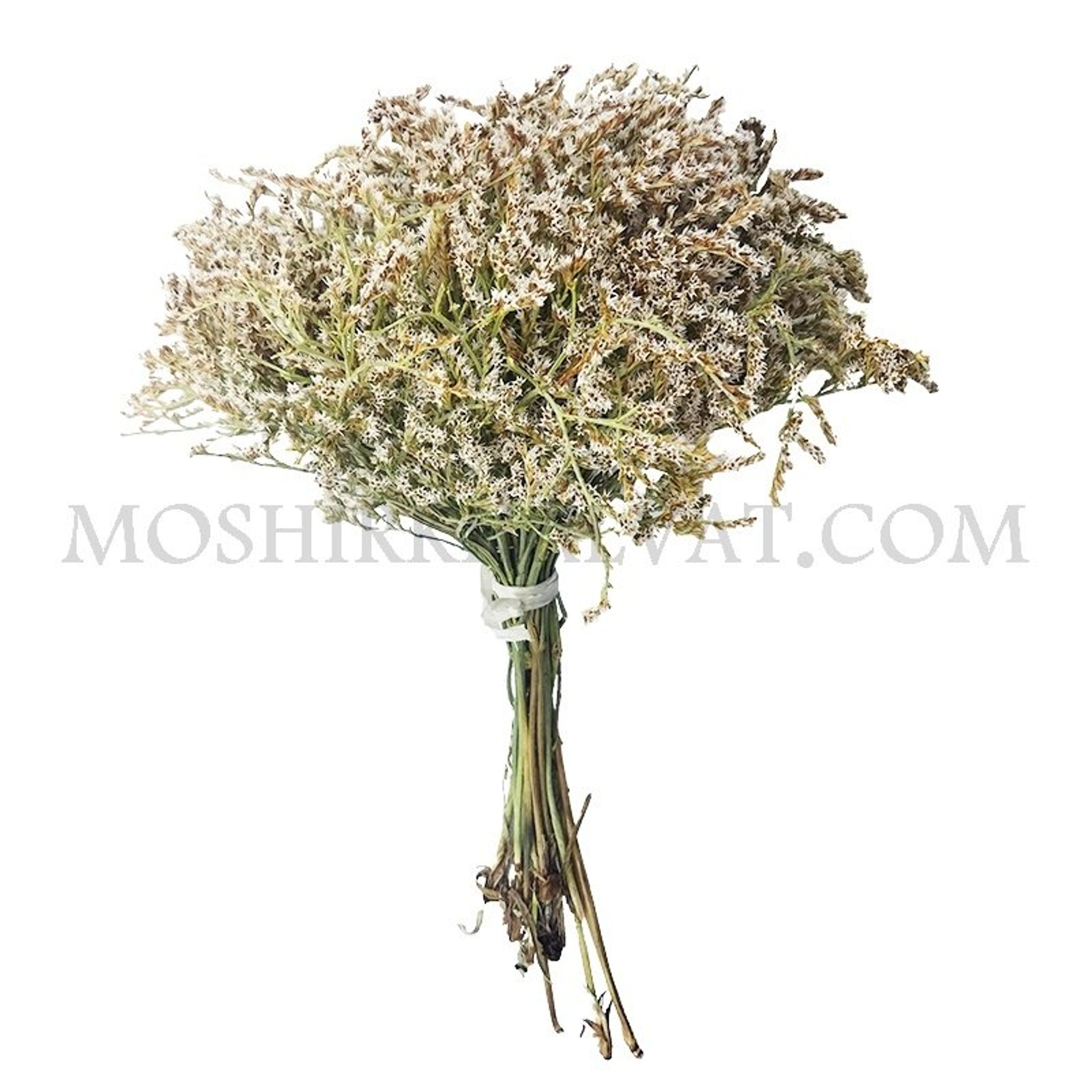 خرید اینترنتی گل خشک مدل لوندر