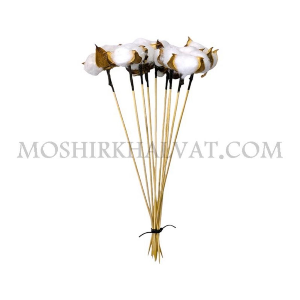 فروش اینترنتی گل خشک مدل شاخه پنبه تک