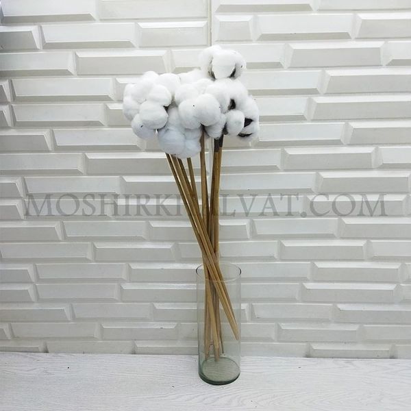 گل خشک مدل پنبه تک شاخه بزرگ