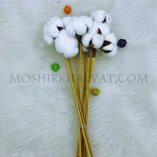 گل خشک مدل پنبه تک شاخه بزرگ