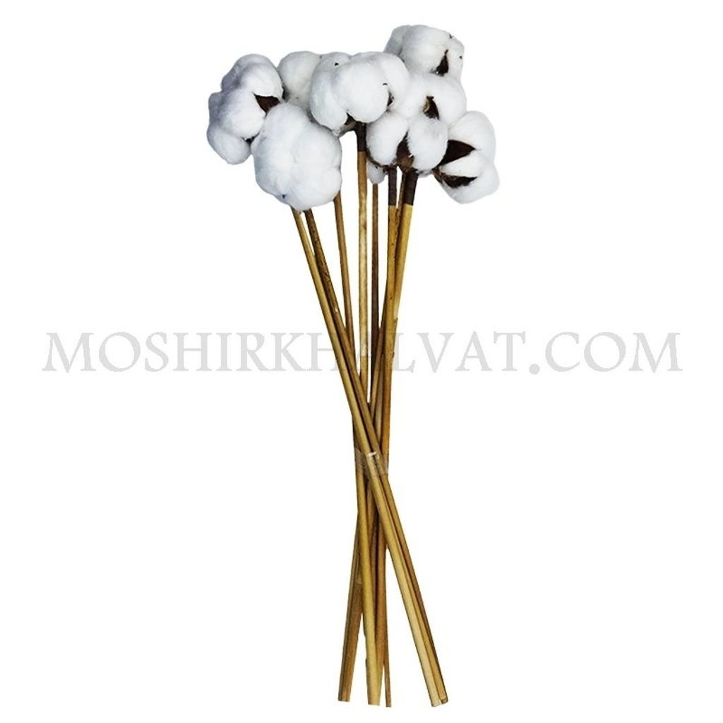 خرید اینترنتی گل خشک مدل پنبه تک شاخه بزرگ