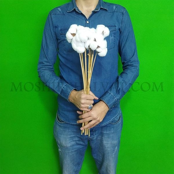 گل خشک مدل پنبه تک شاخه بزرگ