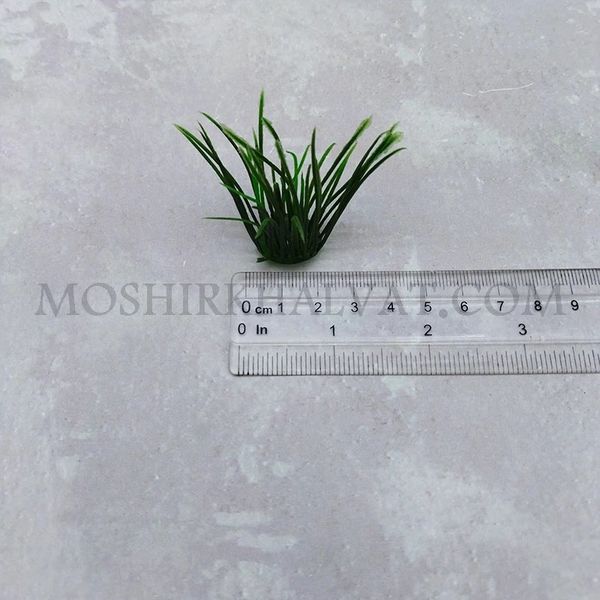 سبزه پلاستیکی گندمی