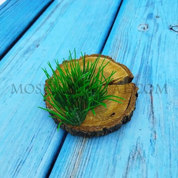 سبزه پلاستیکی گندمی