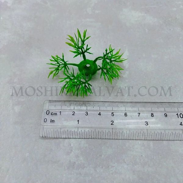 سبزه شویدی پلاستیکی