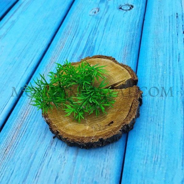 سبزه شویدی پلاستیکی