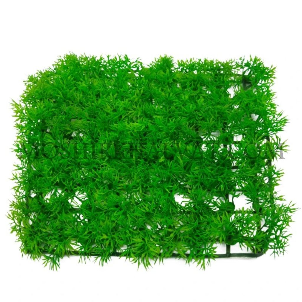 فروش اینترنتی سبزه شویدی پلاستیکی