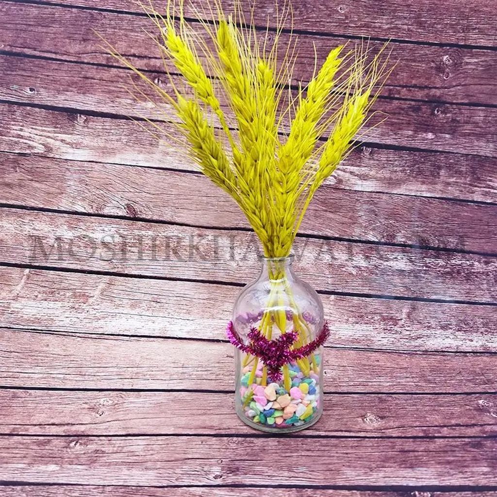 خرید آنلاین ویال 100 سی سی