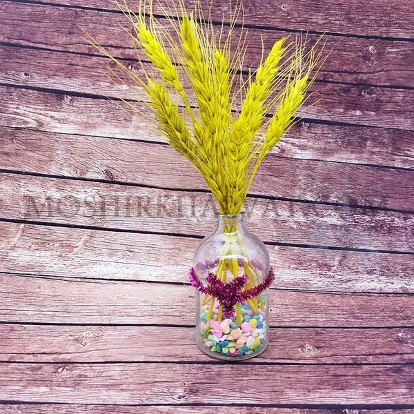 ویال 100 سی سی