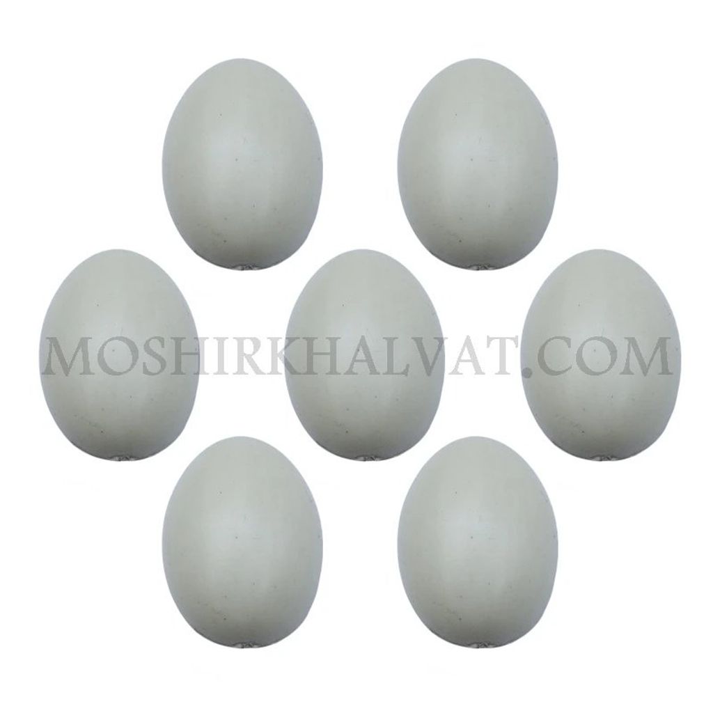 فروش اینترنتی تخم مرغ پلاستیکی