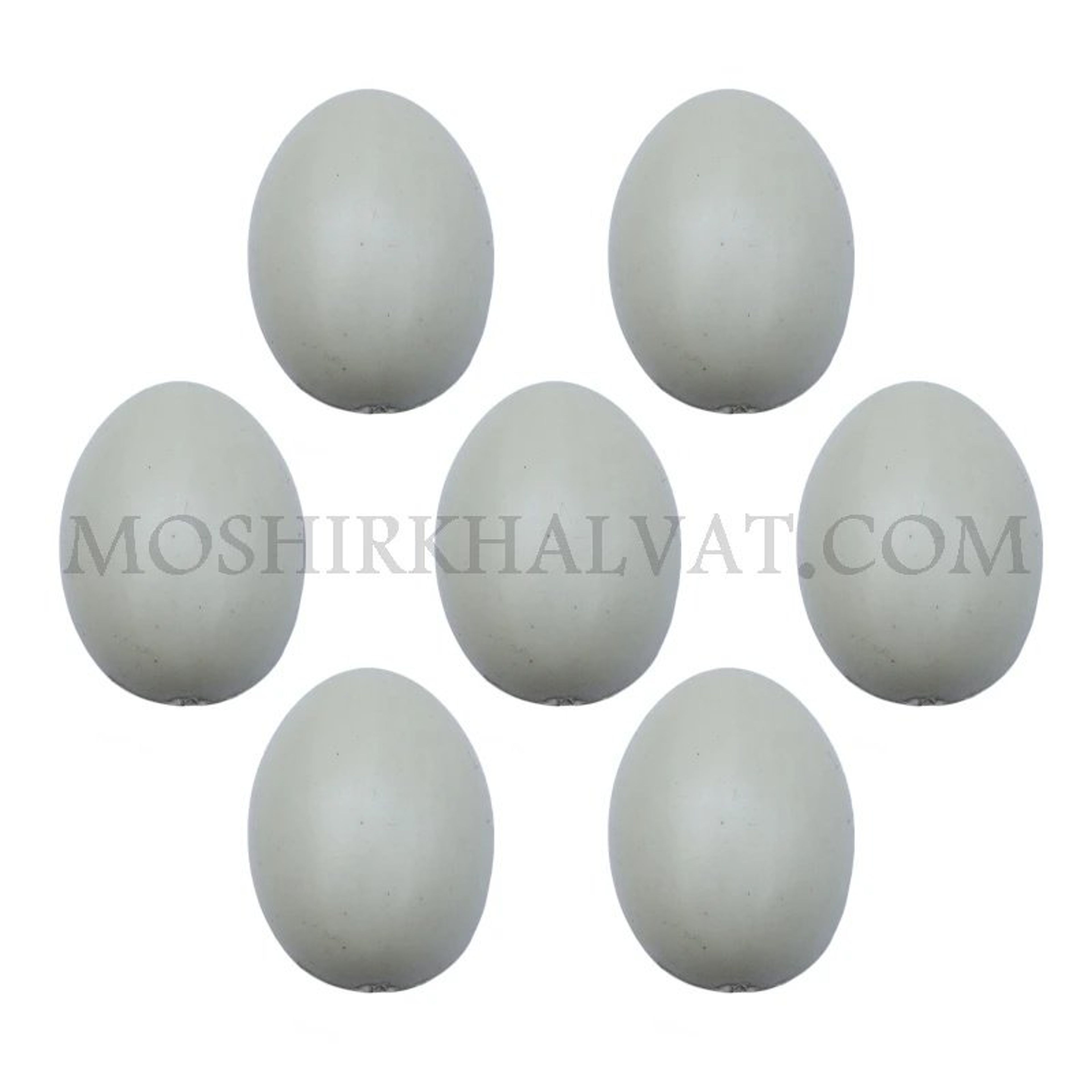 فروش اینترنتی تخم مرغ پلاستیکی
