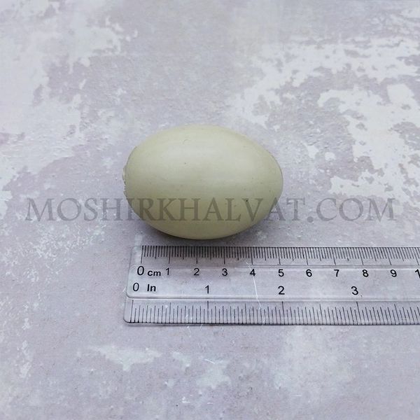 تخم مرغ پلاستیکی