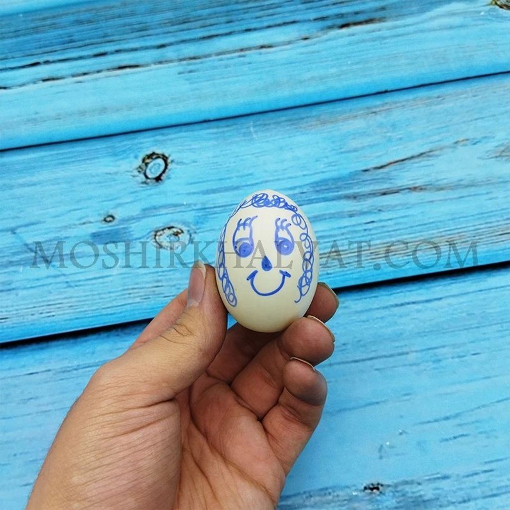 فروش اینترنتی تخم مرغ پلاستیکی