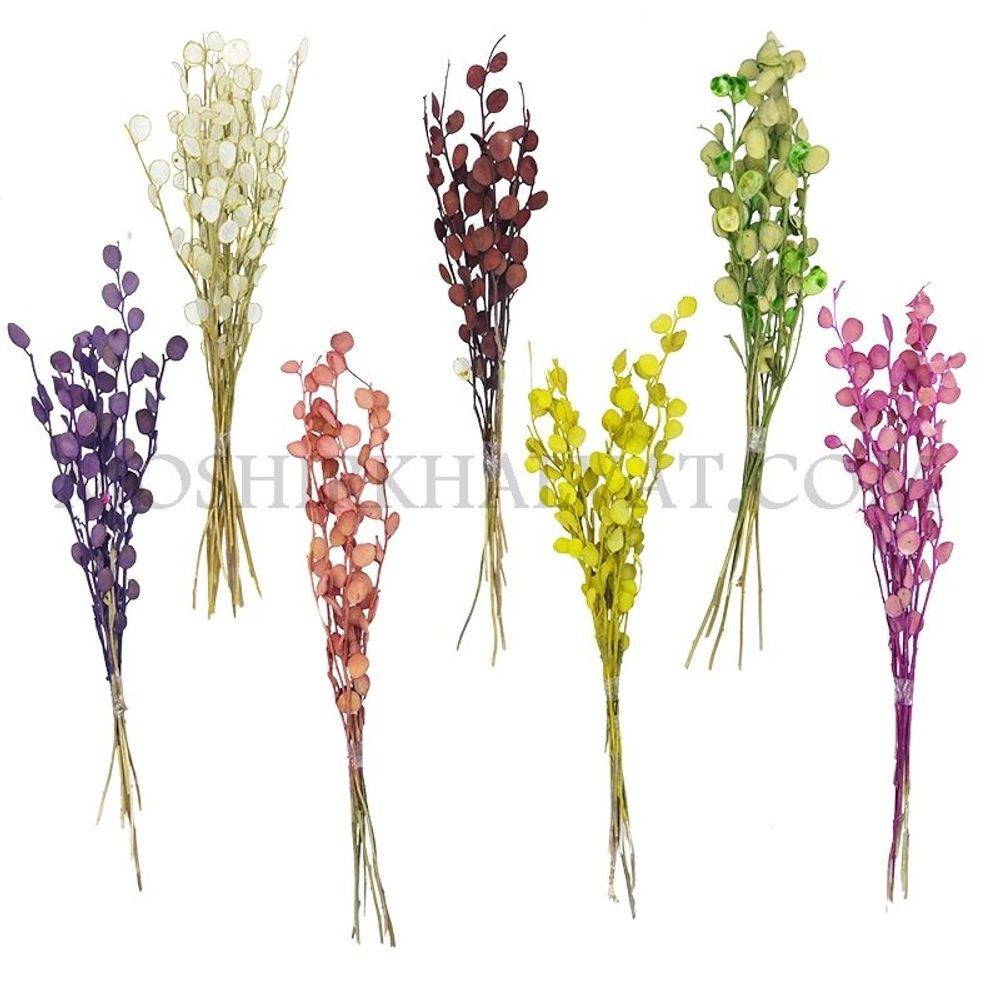 خرید آنلاین گل خشک مدل سکه ای تک شاخه