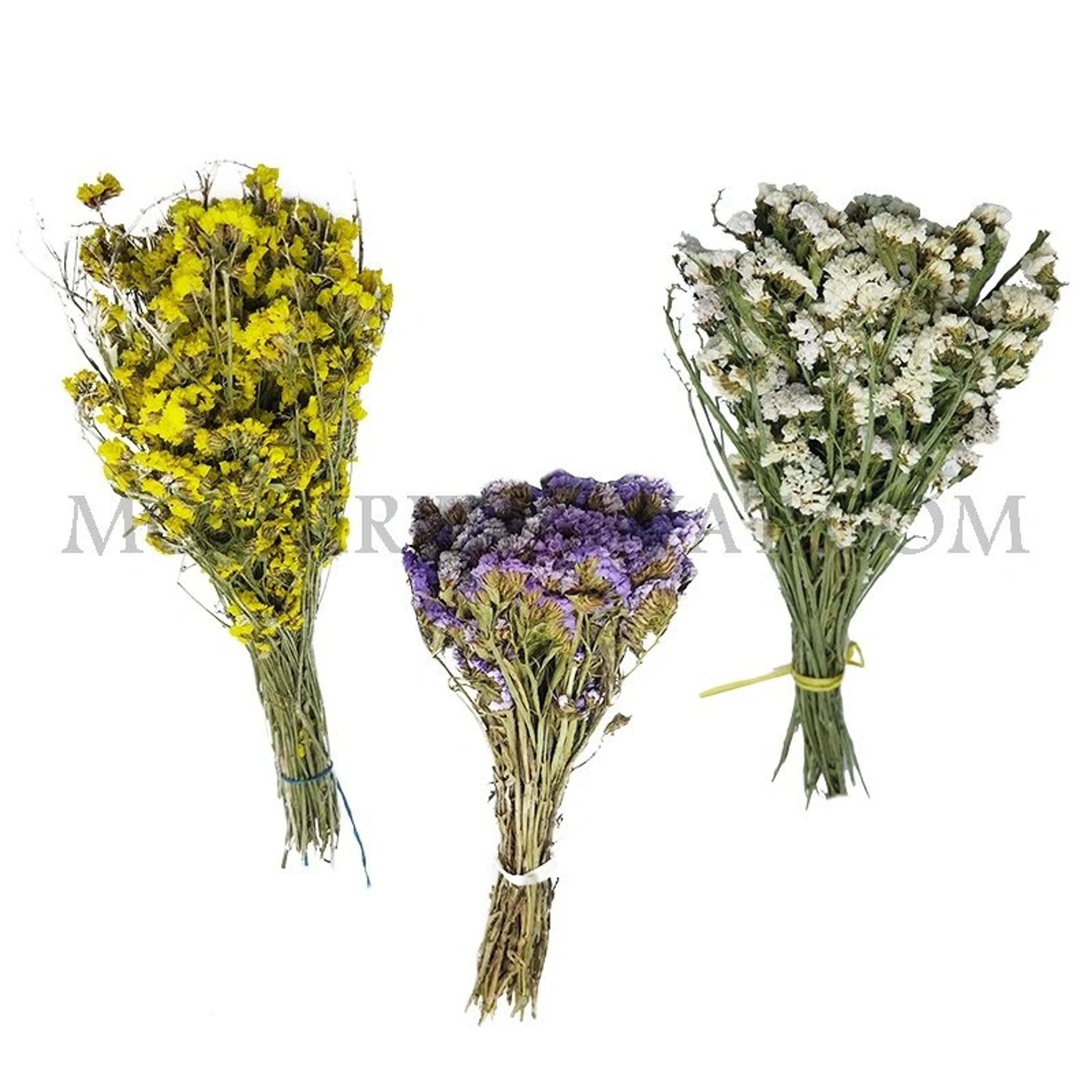 فروش اینترنتی گل خشک مدل زنبوری کد 13759