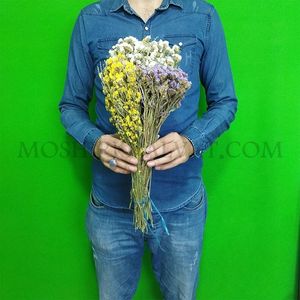 خرید اینترنتی گل خشک مدل زنبوری کد 13759