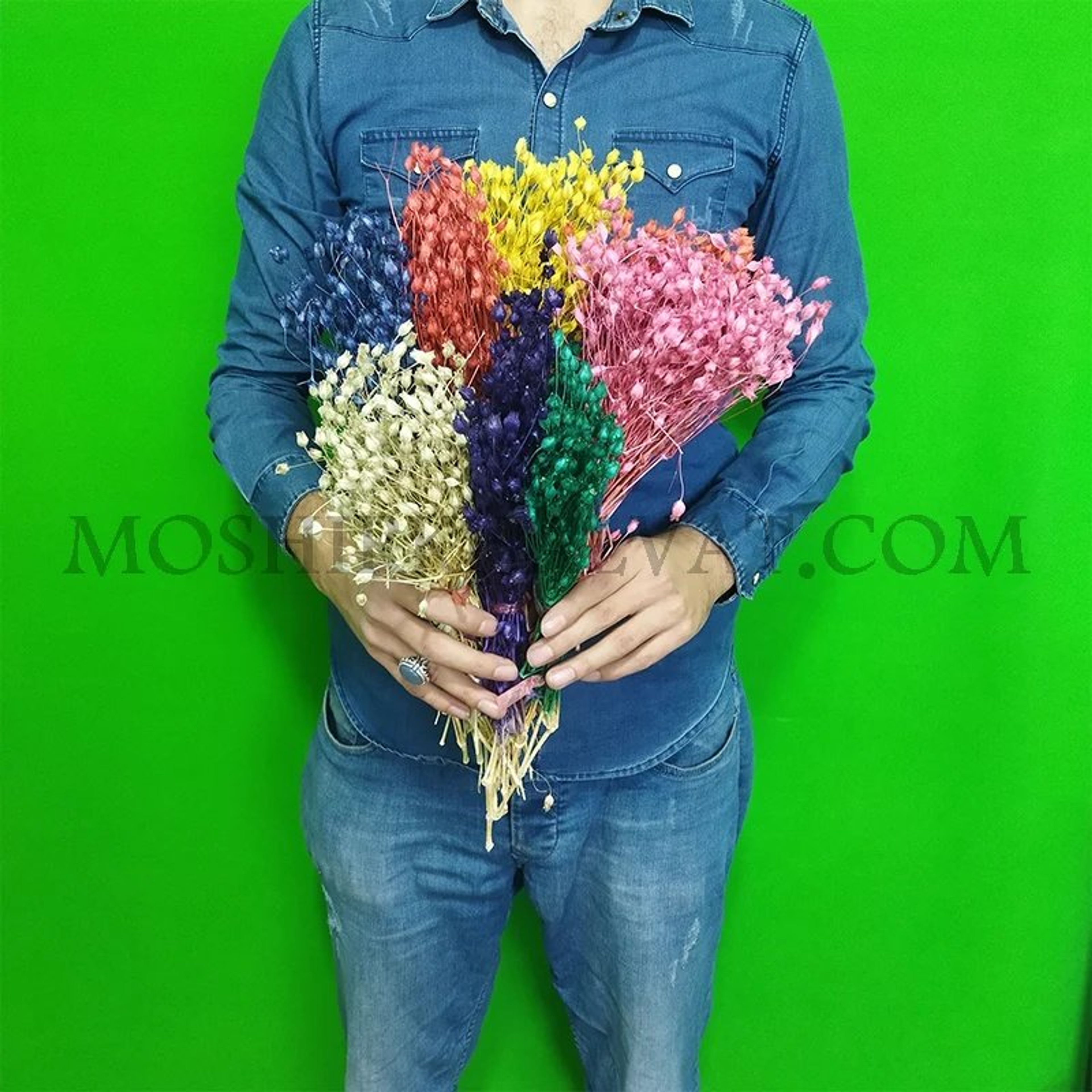 فروش اینترنتی گل خشک مدل جغجغه ای کد 13760