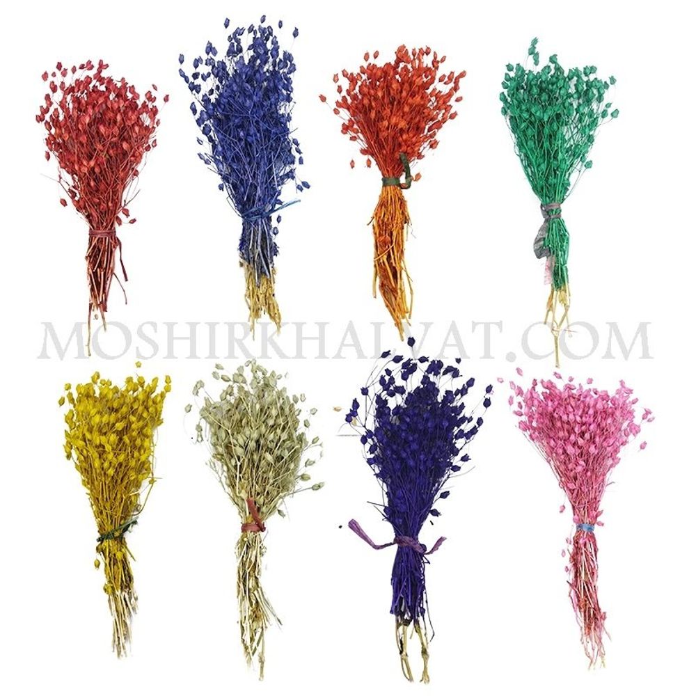 خرید اینترنتی گل خشک مدل جغجغه ای کد 13760