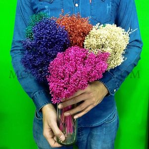 خرید اینترنتی گل خشک مدل عدسی کد 13762