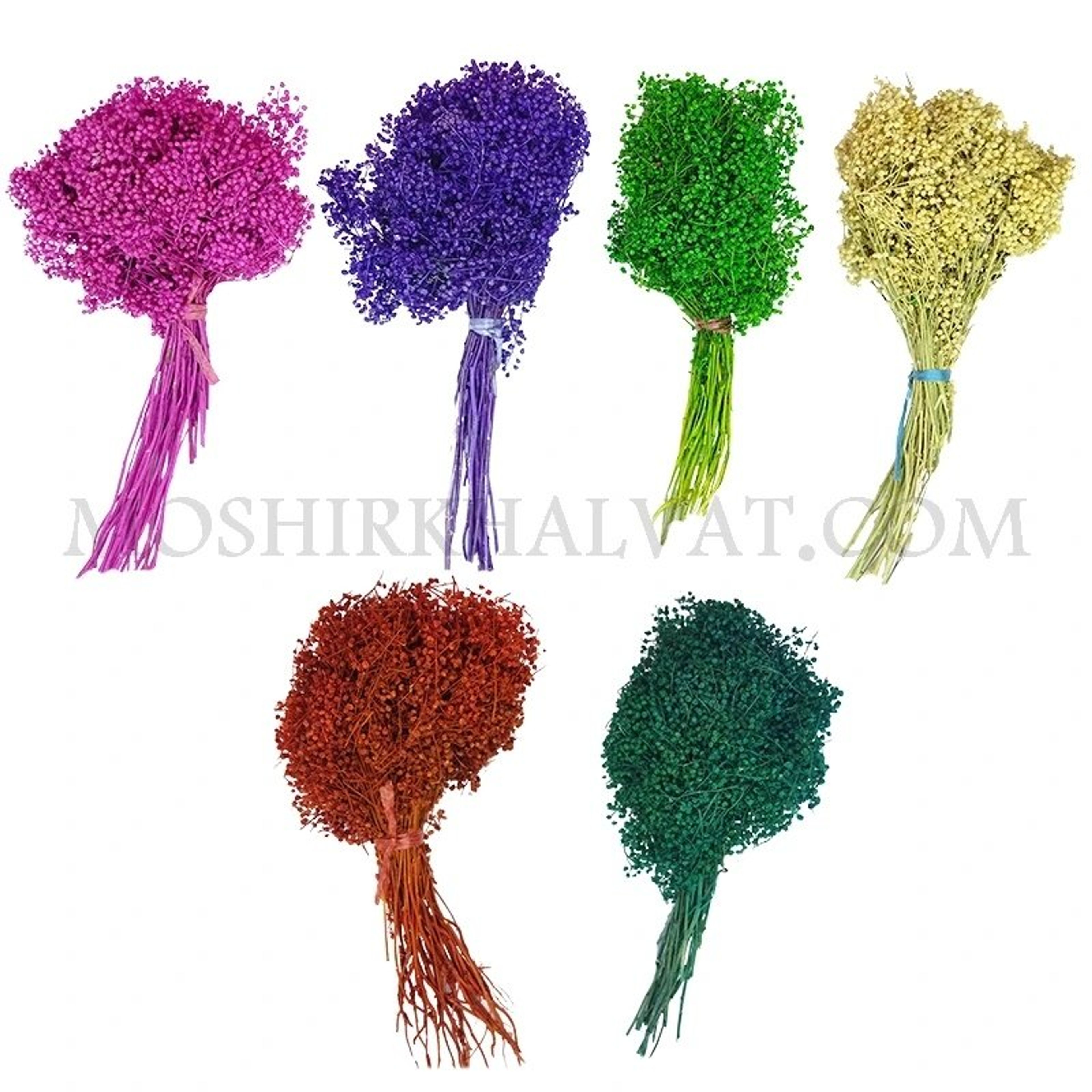 خرید اینترنتی گل خشک مدل عدسی کد 13762
