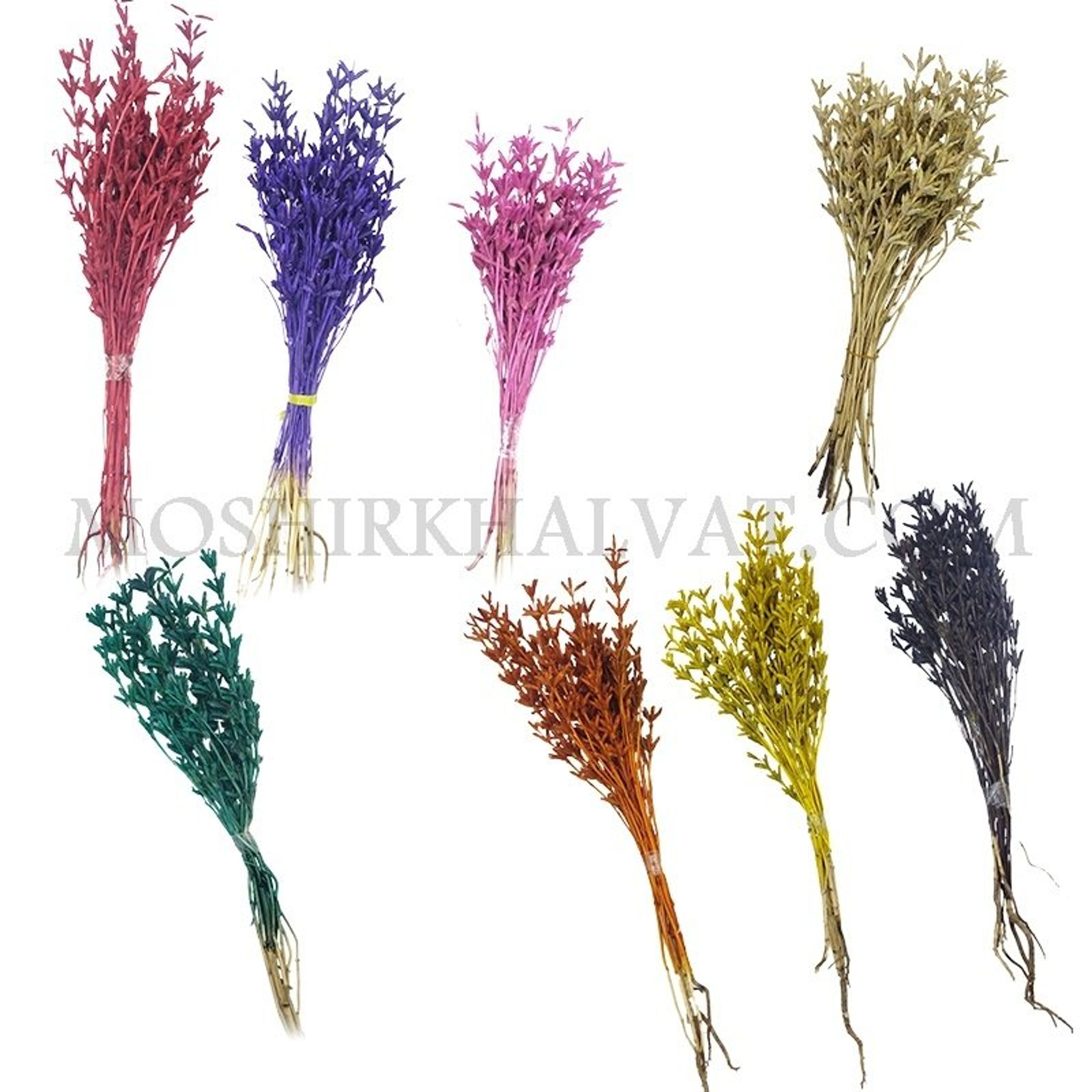 خرید اینترنتی گل خشک مدل برنجی کد 13764