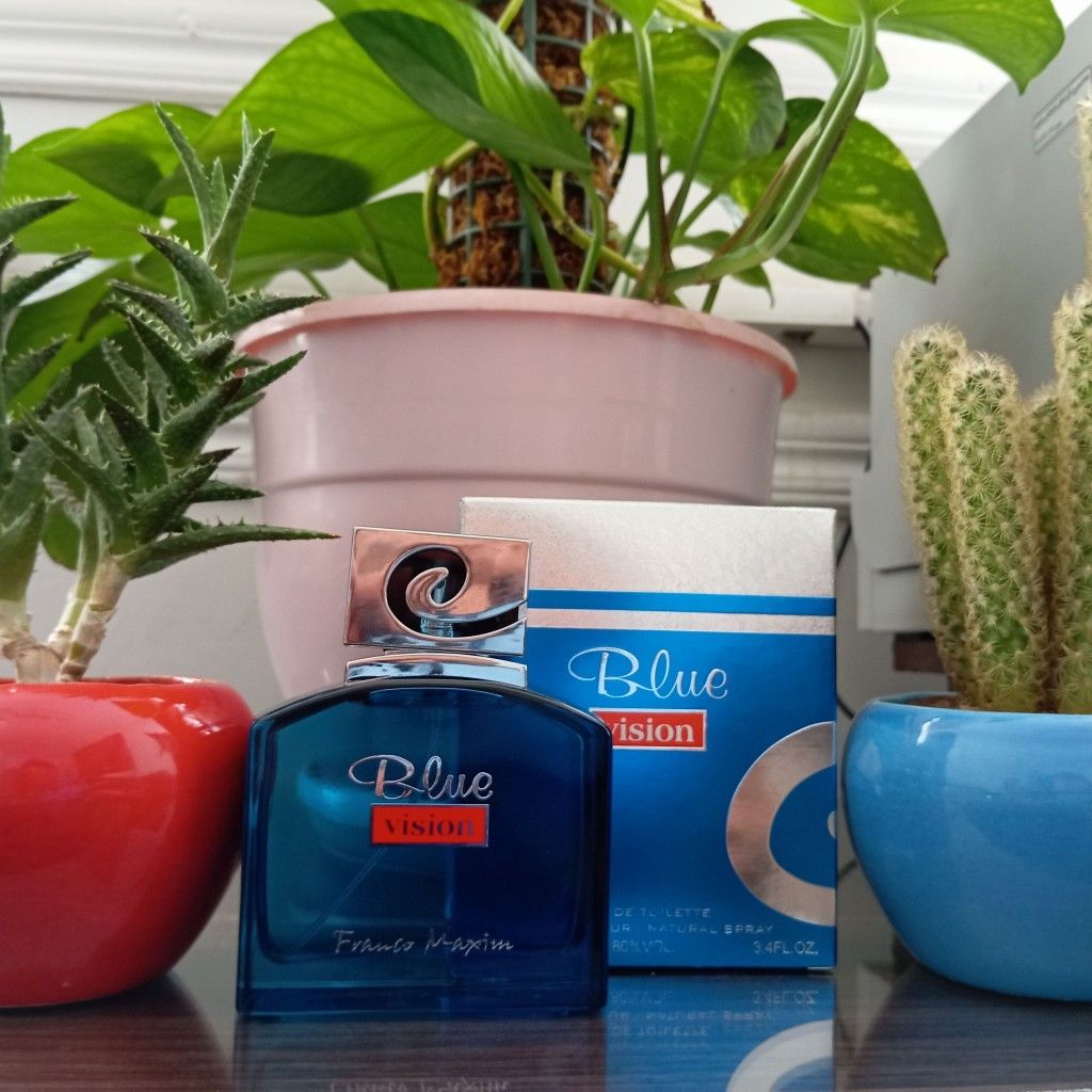 خرید اینترنتی ادکلن بلو ویژن اصل 100 میل مردانه BLUE VISION