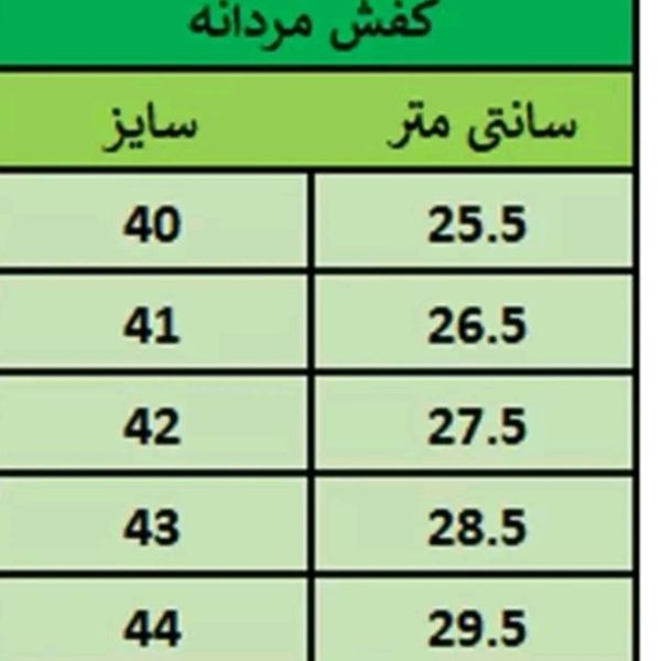 کفش اسپرت پسرانه مردانه پرطرفدار پاخور بی نظیر