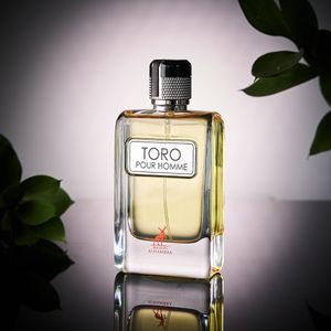 خرید اینترنتی عطر ادکلن مردانه تق هرمس الحمبرا - ماندگاری و پخش بو عالی - بسیار با کیفیت - 100 میل - اورجینال