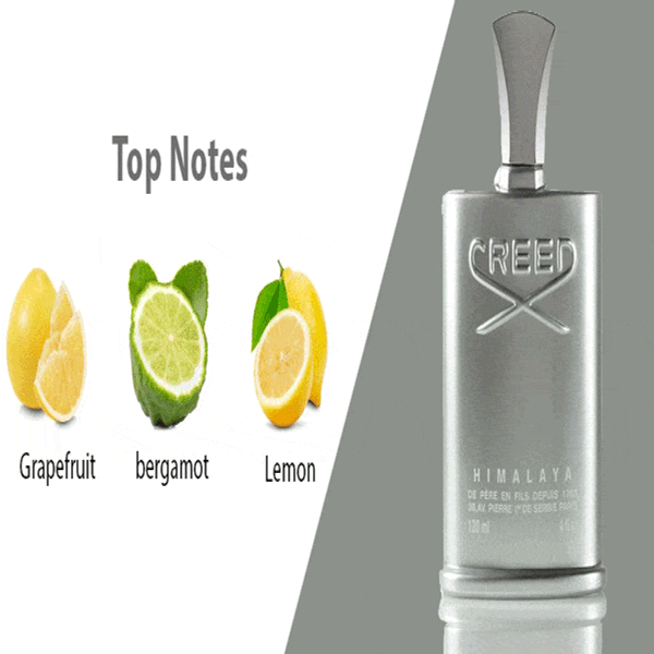 عطر مردانه کرید هیمالایا (هیمالیا) - CREED - Himalaya