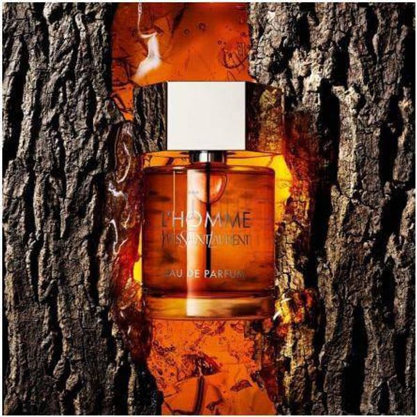عطر مردانه ایو سن لورن الهوم ادوپرفیوم (لهوم) - YVES SAINT LAURENT - L'Homme EDP
