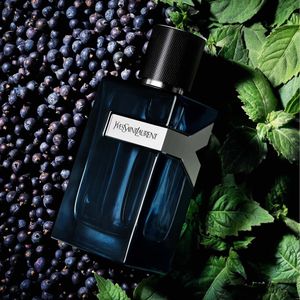 خرید آنلاین عطر مردانه ایو سن لورن وای ادوپرفیوم اینتنس - YVES SAINT LAURENT - Y Eau de Parfum Intense