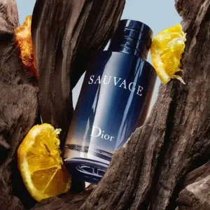 فروش اینترنتی عطر مردانه دیور ساوج ( ساواج - ساواژ ) - Dior - Sauvage EDT