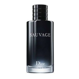 فروش اینترنتی عطر مردانه دیور ساوج ( ساواج - ساواژ ) - Dior - Sauvage EDT