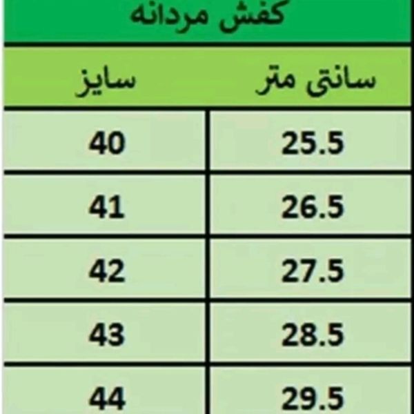 کفش کتونی مردانه شیک پاخور عالی