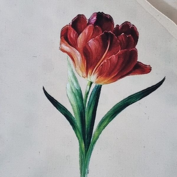 ساک خرید پارچه ای کد 2385