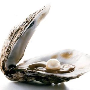فروش اینترنتی گردنبند مروارید عشق ،مروارید پرورشی اصل