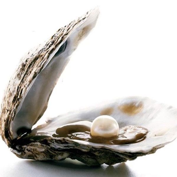 گردنبند مروارید عشق ،مروارید پرورشی اصل